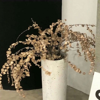 兽设冰川场景创作兽圈群